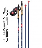 Лыжные палки REX Ventus, гибрид (30%/70%)