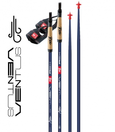Лыжные палки REX Ventus, гибрид (30%/70%) - купить
