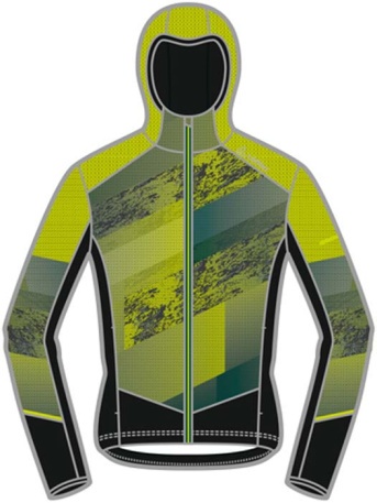 Мужской джемпер с капюшоном Loeffler Speed Rew - купить