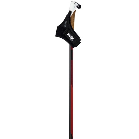 Гоночные палки SWIX Dynamic D1 - купить