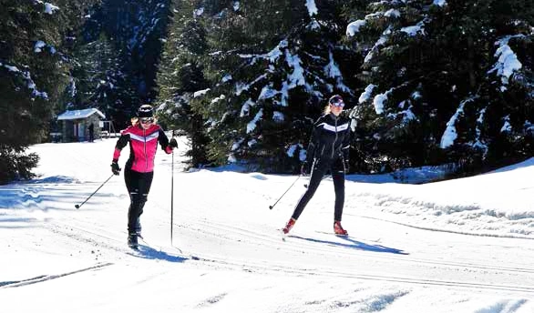 Предзаказ на беговые лыжи SkiTRAB